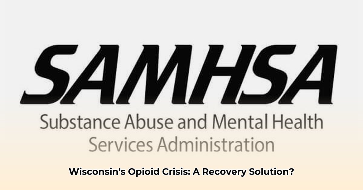 ams-of-wisconsin-onalaska-wi